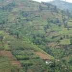 Burundian hillside