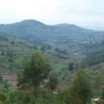 Rwandan Hills